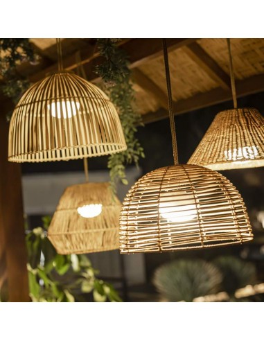 Suspensão REONA New Garden - Iluminação Versátil e Elegante