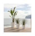 02-vaso-opaco-gerbera-newgarden-disponivel-em-varios-tamanhos-e-cores