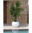03-vaso-redondo-opaco-bambu-90-new-garden