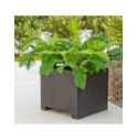 01-vaso-narciso-60
