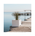 02-vaso-narciso-60