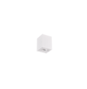 01-biscuit