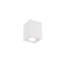 02-biscuit