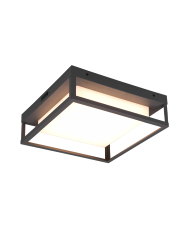 Plafon de Teto Exterior WITHAM Trio - Design Moderno e Eficaz